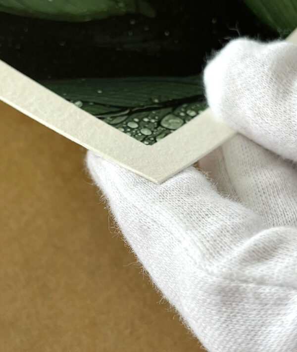 Ilford Galerie Textured Cotton Rag Printing Paper PosterFactory