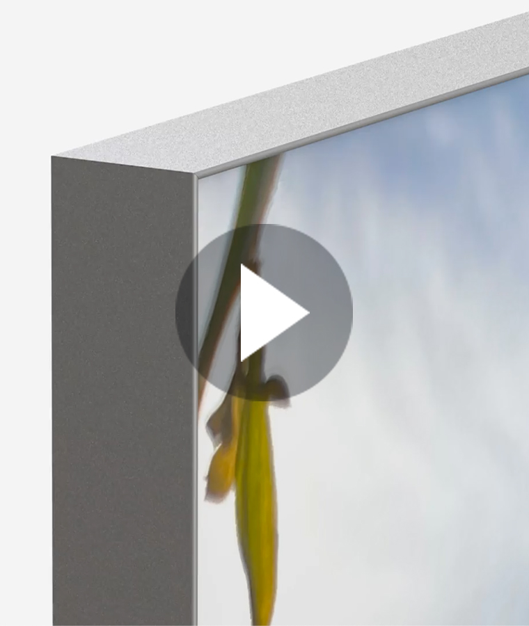 Chromaluxe Video Aluminium Frame