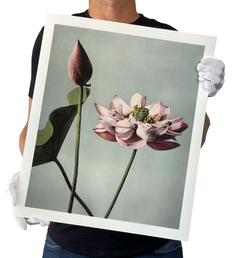 Fine Art Giclée Printing PosterFactory Online Poster Printing