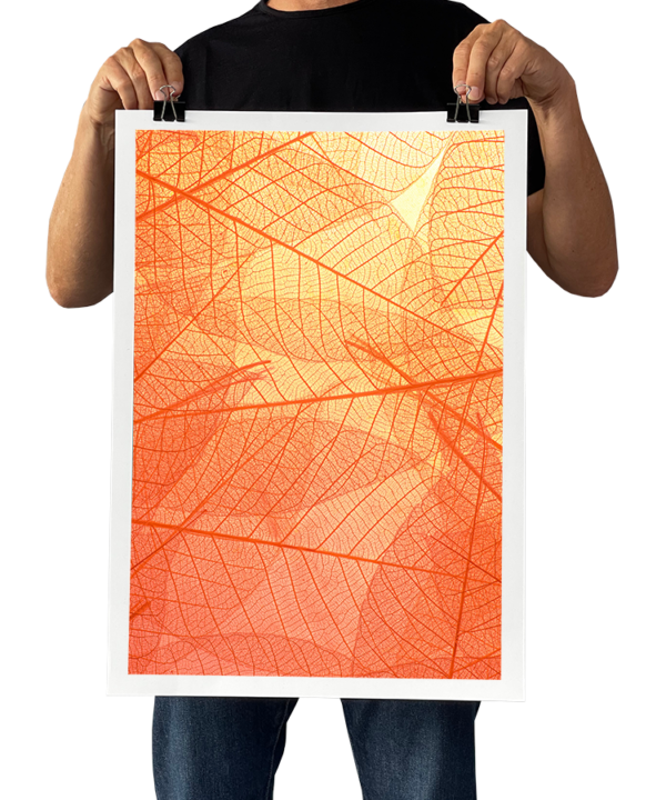 Wall Art & Photo Printing PosterFactory Online Poster Printing