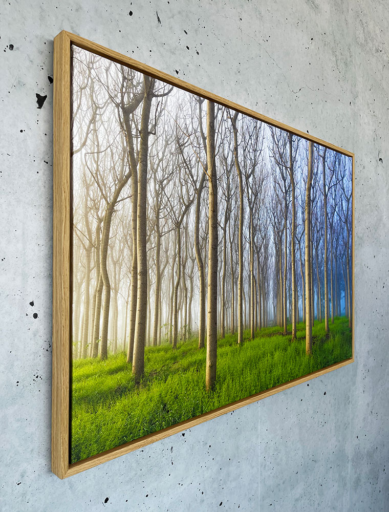 Canvas frames on sale