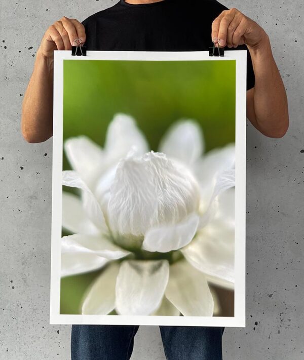 ILFORD GALERIE Getextureerde Cotton Rag 310 GSM A4-210 mm x 297 mm 25 vellen, GPTC