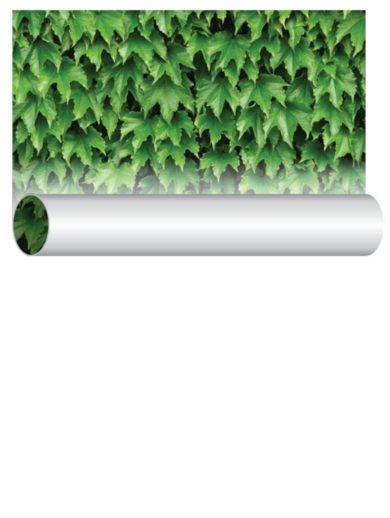 Peel & Stick Wallpaper PosterFactory Online Poster Printing