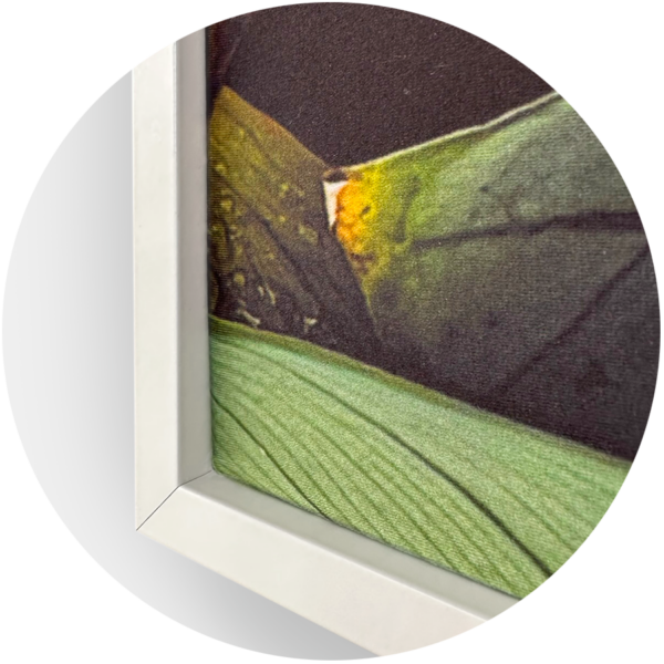 XL Art Canvas and Frame PosterFactory Online Poster Printing