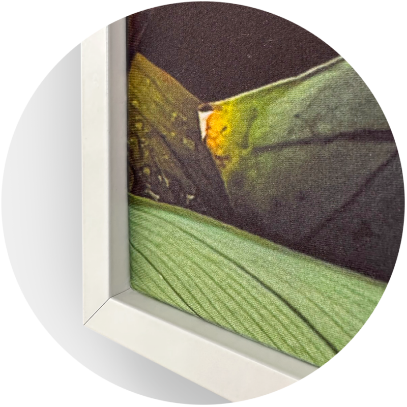 XL Art Canvas and Frame PosterFactory Online Poster Printing