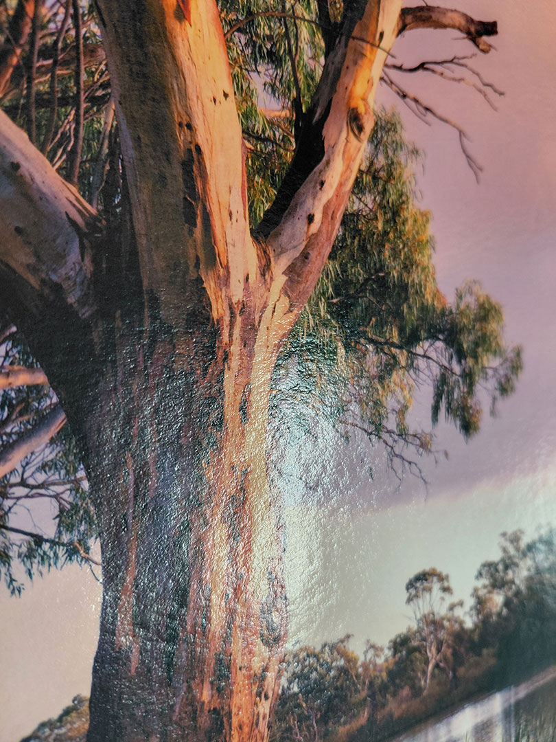 Bamboo-Baryta-close-up