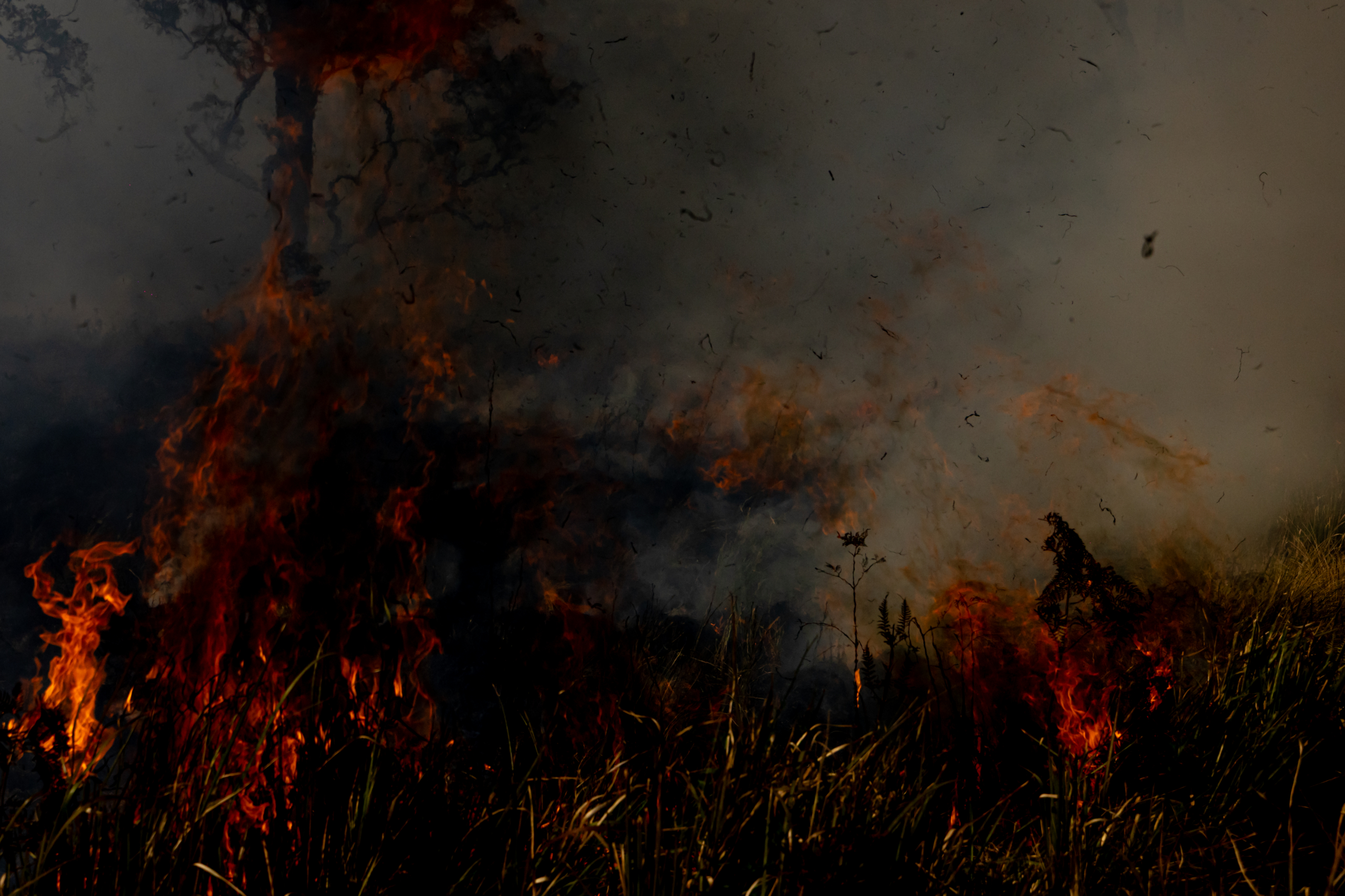 Fire-Scars_Renae-Saxby-Exhibition-1105-scaled